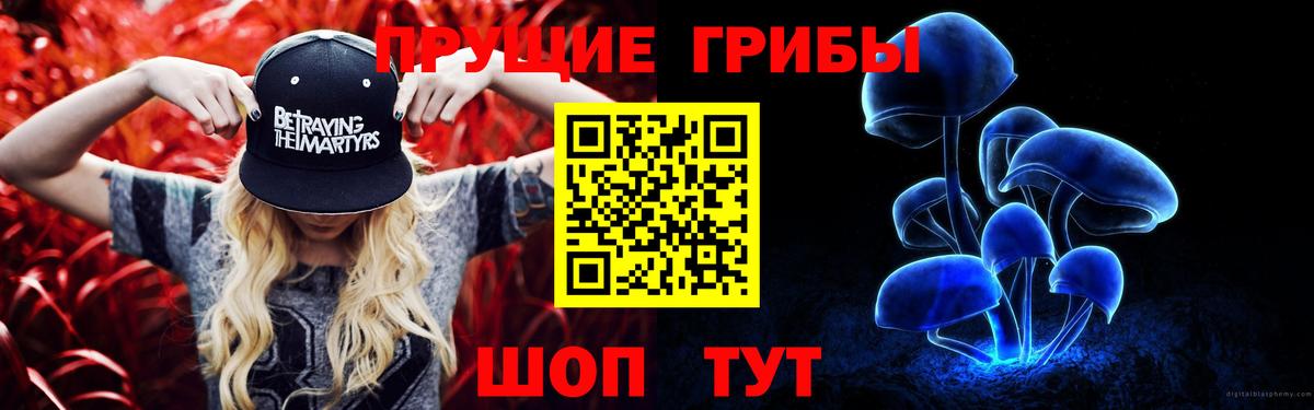 Галлюциногенные грибы Psilocybe Бутурлиновка